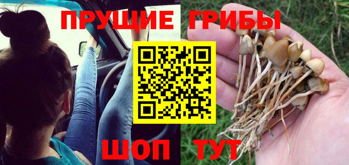 Галлюциногенные грибы MAGIC MUSHROOMS Семёнов